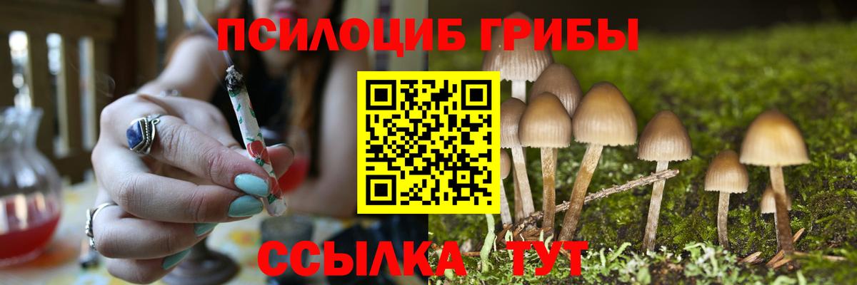 Псилоцибиновые грибы мицелий Спасск-Дальний