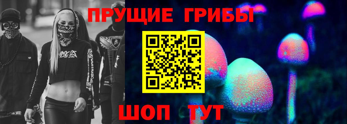 где можно купить   Галлюциногенные грибы Psilocybe  Вход с VPN  Спасск-Дальний 
